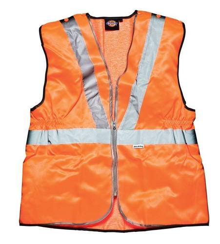 Dickies vis viz - dickies, hi