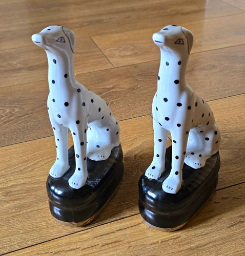 India jane dalmatian dogs - india,