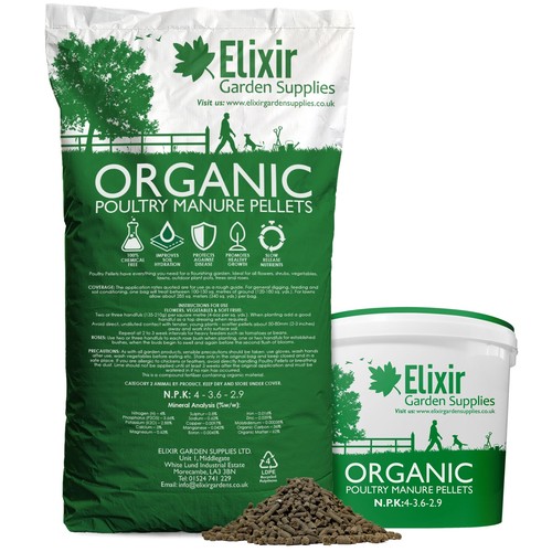 Organic chicken poultry - chicken,