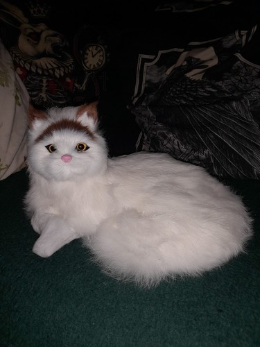 Fake taxidermy laying - fake,