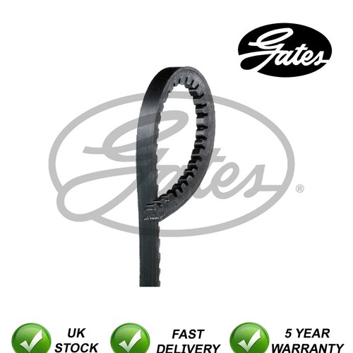 Gates belt fits shogun - gates, v-belt