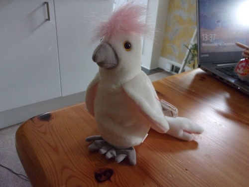 Kuku cockatoo ty beanie - cockatoo,