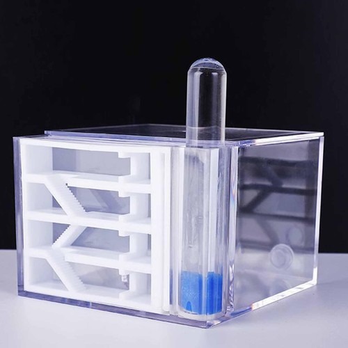 Ant farm study diy supplies - farm,