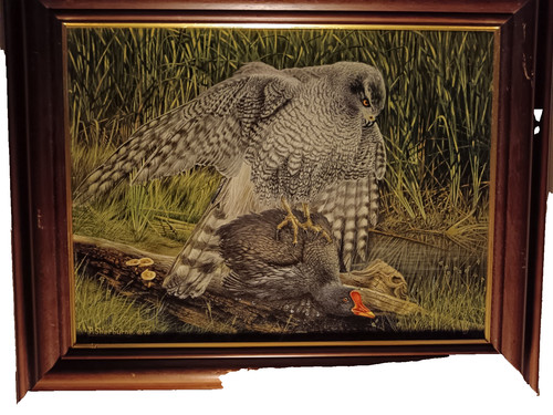 Goshawk jay replica - of, the