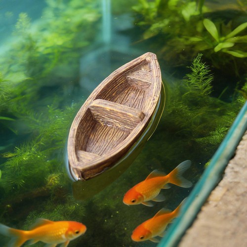 Floating boat shaped aquarium - floating, boat-shaped