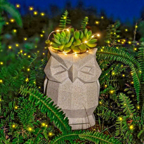 Solar owl plant - pot, funny