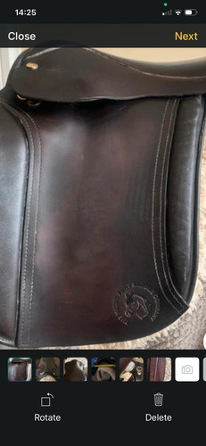 Saddle native pony - xw,