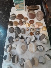 Decorative DIY Or Garden Rocks