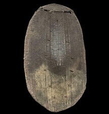 Old Wicker Shield Ngbaka