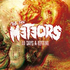 The Meteors : 40 Days a