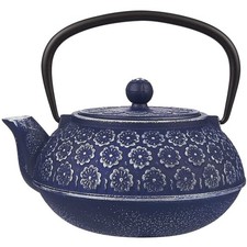 Japanese Cast Iron Teapot