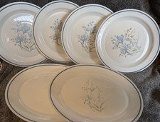 Pyrex blue iris luncheon - pyrex,