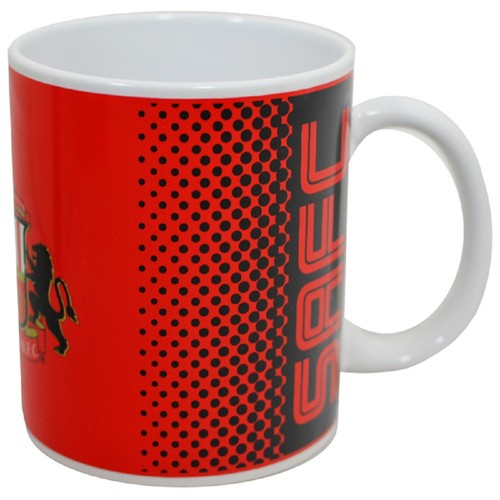 Sunderland football mug - sunderland,