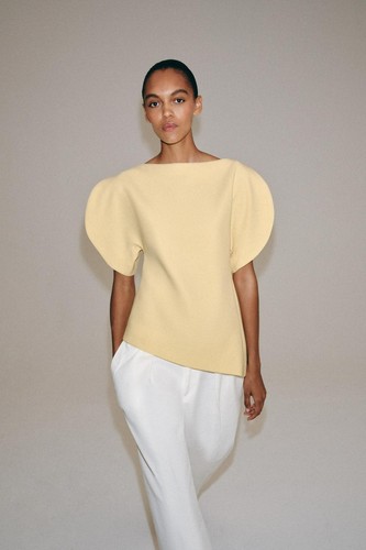 Zara collection puff sleeve - zara,