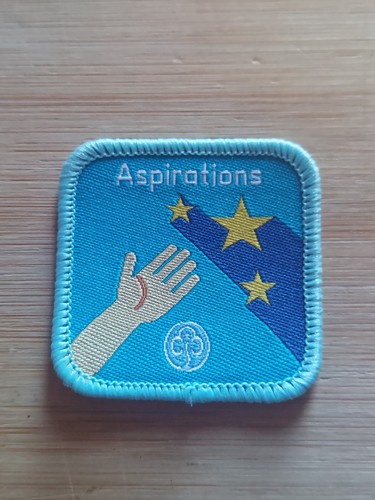 Girlguiding interest badge - girlguiding,