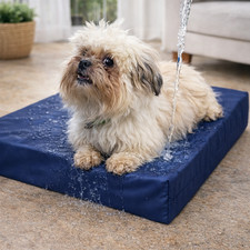 Waterproof Dog Bed Heavy Duty
