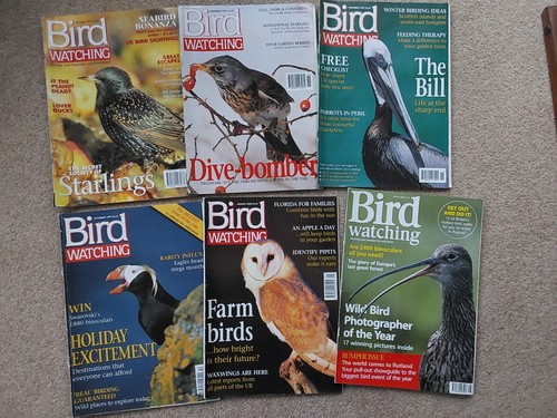 Vintage bird watching - vintage,