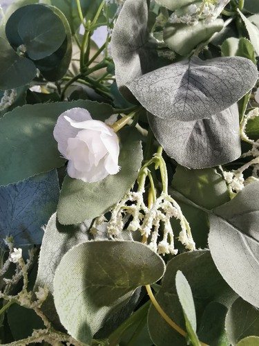 Eucalyptus garland long - eucalyptus,