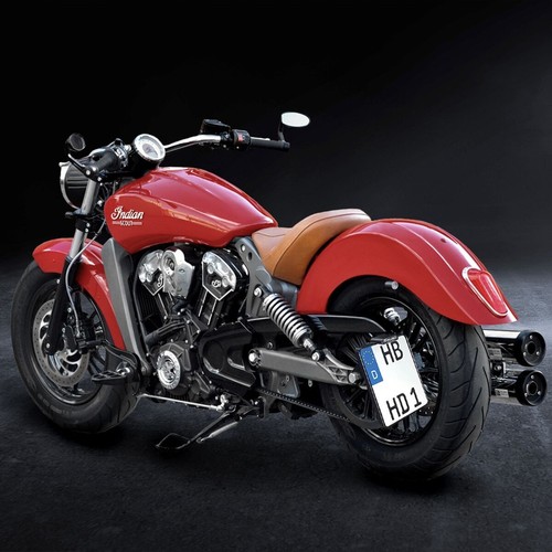 Heinz bikes side mount license - mount,