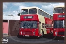 Bus Slide WITHOUT COPYRIGHT