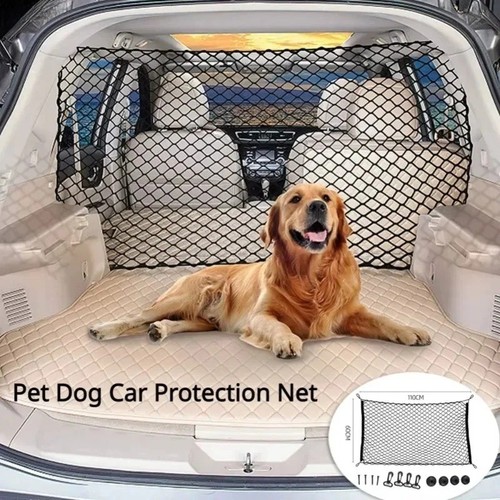 Pet dog car safety - car, isolation