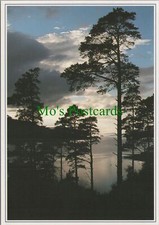 Scotland Postcard - Loch