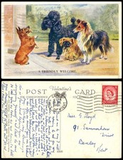 M GEAR 1958 Old Postcard Collie Poodle Pekingese Dogs A Friendly Welcome Puppies