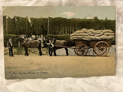 Kent hop picking load - picking, of