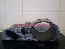Large Multi Plec Pleco Axolotl