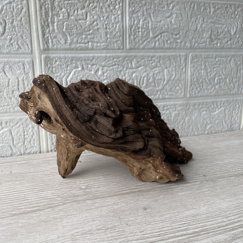 Bogwood driftwood fish - bogwood,