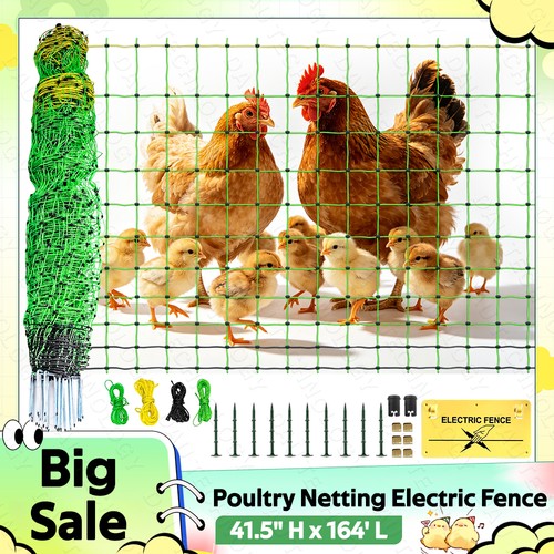 Electric poultry - electric,