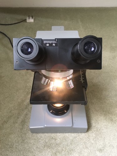 Binocular compound microscope