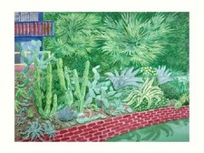 David Hockney Cactus Garden IV