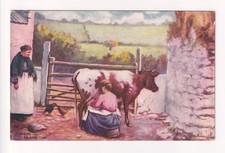 Old Raphael Tuck 'Irish Life'