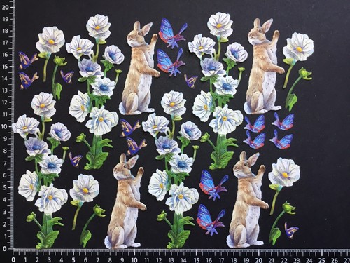 Rabbit bunny and flowers - bunny,