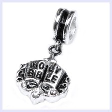 Sterling Silver Holy Bible
