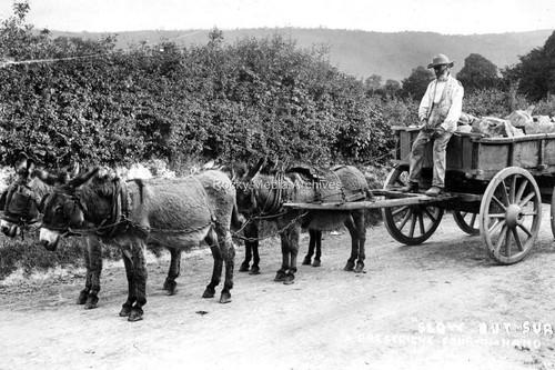 Yvm social history four - history,,