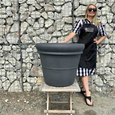 The Milan Plant Pot 65  (5