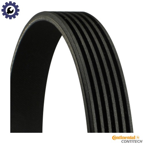 Vribbed belt 6pk1698 - 6pk1698, for