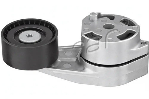 Multi ribbed belt - multi-ribbed, tensioner