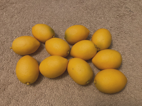 Lot lemons artificial - 11,