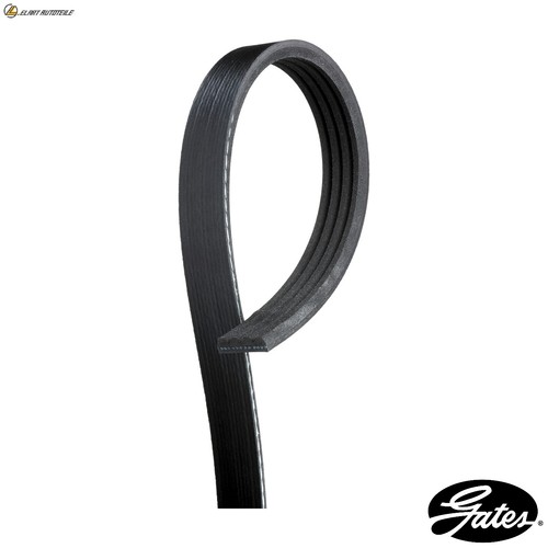 Ribbed belt 4pk923 - belt, for