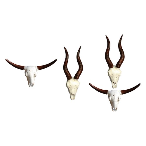 Faux animal skull wall - faux,