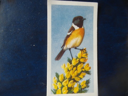 Great britain brooke bond - britain,