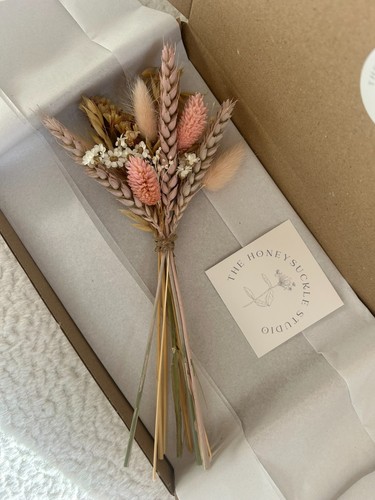 Small pink peach daisy dried - peach,