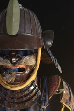 MUNATORI YOKOHAGI 2 PLATES DOU GUSOKU YOROI (armor) : EDO : 15.7 × 21.7 × 57.9 "