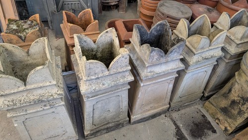 Reclaimed buff bishop - ,,