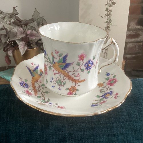 Vintage spode hammersley bird - hammersley,
