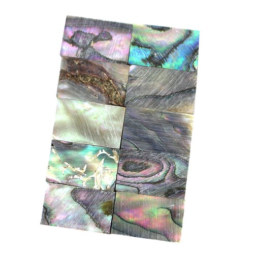 10pcs abalone shell - 10pcs,