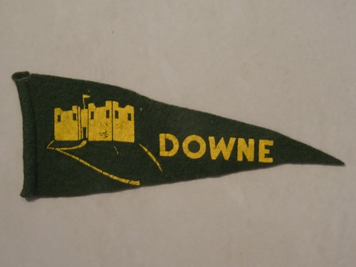 Downe scout pennant - scout,